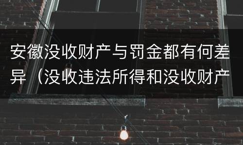 安徽没收财产与罚金都有何差异（没收违法所得和没收财产有什么区别）