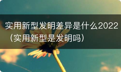 实用新型发明差异是什么2022（实用新型是发明吗）