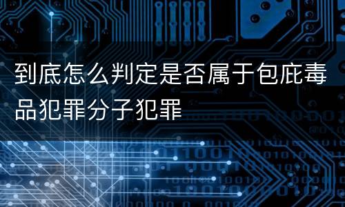到底怎么判定是否属于包庇毒品犯罪分子犯罪