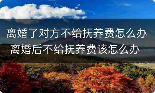 离婚了对方不给抚养费怎么办 离婚后不给抚养费该怎么办
