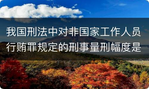 我国刑法中对非国家工作人员行贿罪规定的刑事量刑幅度是什么