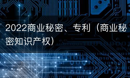 2022商业秘密、专利（商业秘密知识产权）
