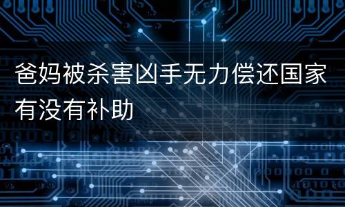 爸妈被杀害凶手无力偿还国家有没有补助