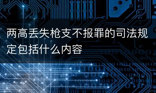两高丢失枪支不报罪的司法规定包括什么内容