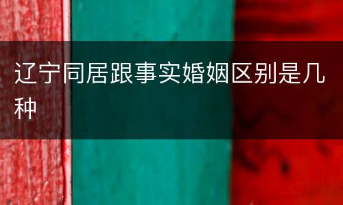 辽宁同居跟事实婚姻区别是几种