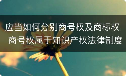应当如何分别商号权及商标权 商号权属于知识产权法律制度的是