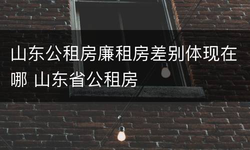 山东公租房廉租房差别体现在哪 山东省公租房