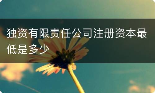 独资有限责任公司注册资本最低是多少