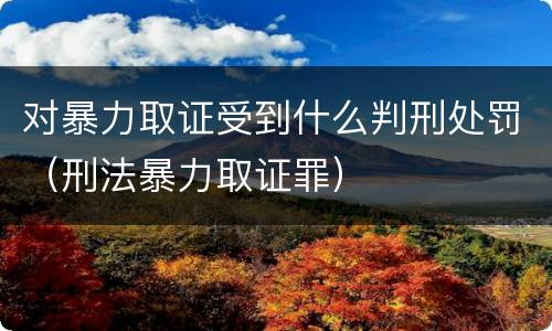 对暴力取证受到什么判刑处罚（刑法暴力取证罪）