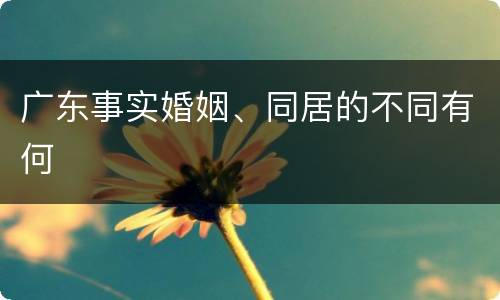 广东事实婚姻、同居的不同有何