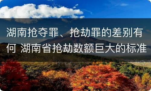 湖南抢夺罪、抢劫罪的差别有何 湖南省抢劫数额巨大的标准