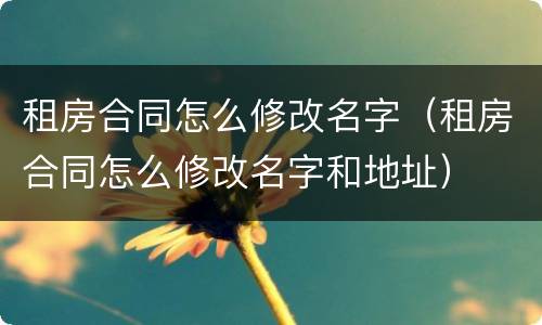 租房合同怎么修改名字（租房合同怎么修改名字和地址）