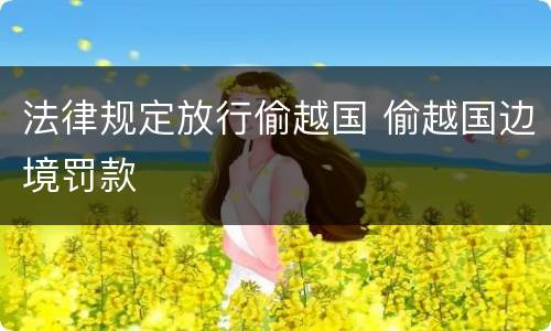 法律规定放行偷越国 偷越国边境罚款