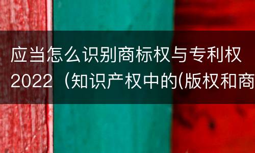 应当怎么识别商标权与专利权2022（知识产权中的(版权和商标权与标准）