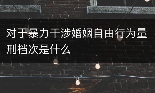 对于暴力干涉婚姻自由行为量刑档次是什么