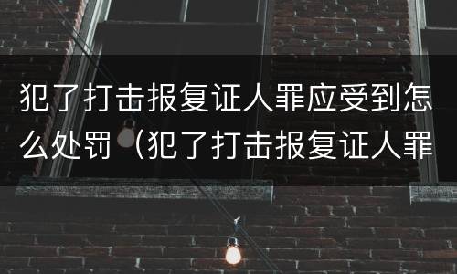 犯了打击报复证人罪应受到怎么处罚（犯了打击报复证人罪应受到怎么处罚呢）