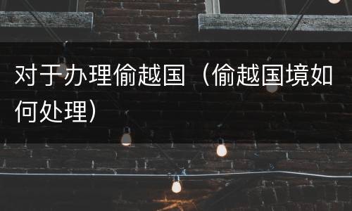 对于办理偷越国（偷越国境如何处理）
