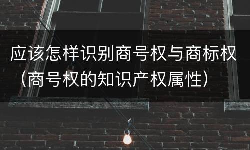 应该怎样识别商号权与商标权（商号权的知识产权属性）