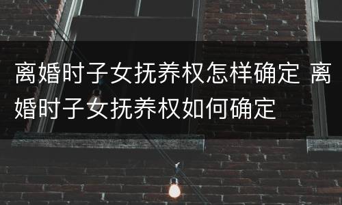 离婚时子女抚养权怎样确定 离婚时子女抚养权如何确定