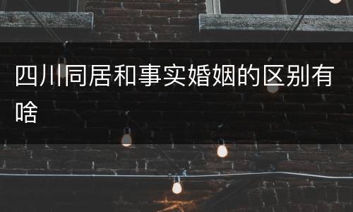 四川同居和事实婚姻的区别有啥