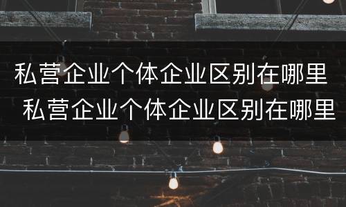 私营企业个体企业区别在哪里 私营企业个体企业区别在哪里查