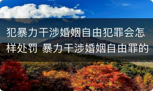 犯暴力干涉婚姻自由犯罪会怎样处罚 暴力干涉婚姻自由罪的结果加重犯