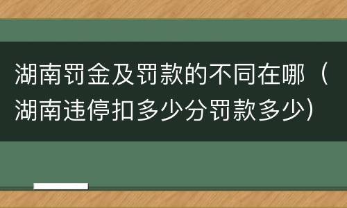 湖南罚金及罚款的不同在哪（湖南违停扣多少分罚款多少）