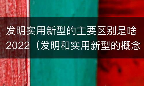 发明实用新型的主要区别是啥2022（发明和实用新型的概念）