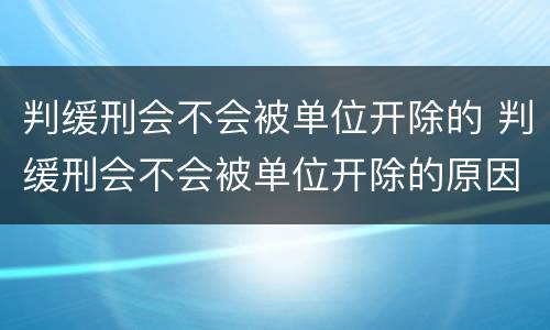 判缓刑会不会被单位开除的 判缓刑会不会被单位开除的原因