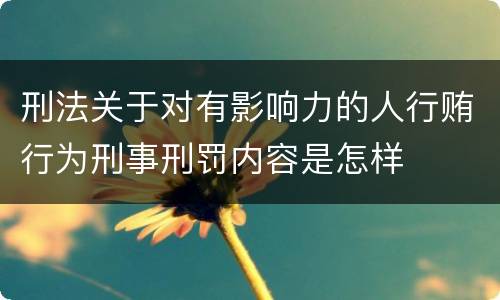 刑法关于对有影响力的人行贿行为刑事刑罚内容是怎样