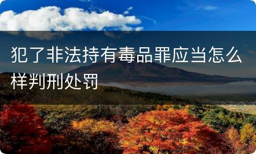 犯了非法持有毒品罪应当怎么样判刑处罚