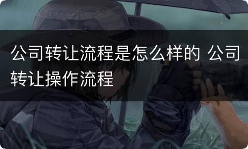 公司转让流程是怎么样的 公司转让操作流程