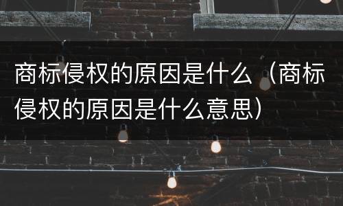 商标侵权的原因是什么（商标侵权的原因是什么意思）