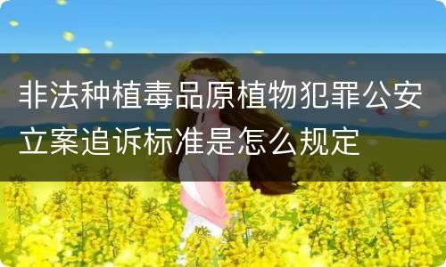 非法种植毒品原植物犯罪公安立案追诉标准是怎么规定