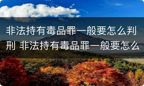非法持有毒品罪一般要怎么判刑 非法持有毒品罪一般要怎么判刑呢