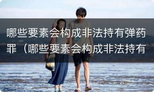 哪些要素会构成非法持有弹药罪（哪些要素会构成非法持有弹药罪行）