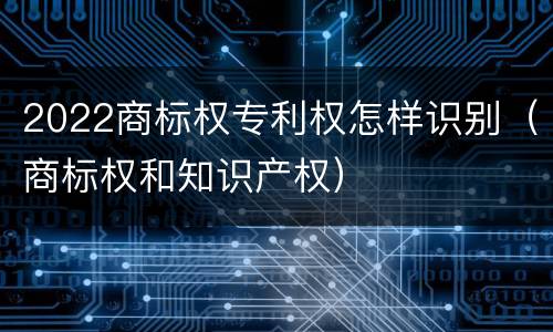 2022商标权专利权怎样识别（商标权和知识产权）