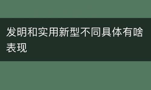 发明和实用新型不同具体有啥表现