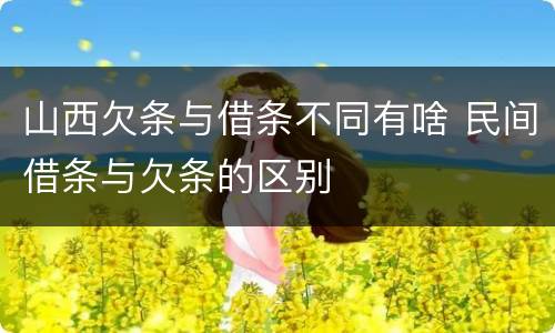 山西欠条与借条不同有啥 民间借条与欠条的区别
