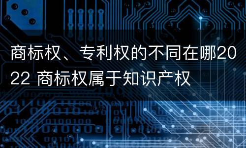 商标权、专利权的不同在哪2022 商标权属于知识产权