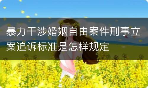 暴力干涉婚姻自由案件刑事立案追诉标准是怎样规定