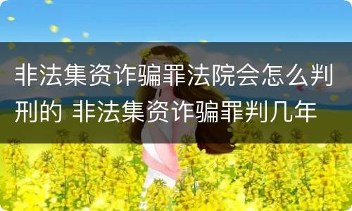 非法集资诈骗罪法院会怎么判刑的 非法集资诈骗罪判几年