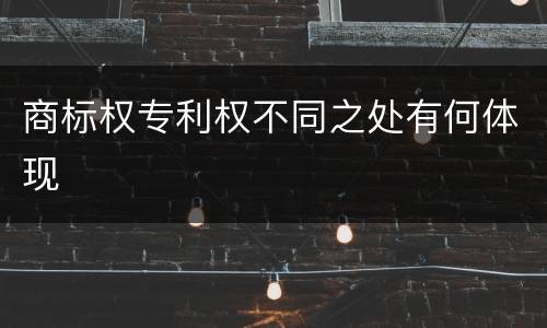 商标权专利权不同之处有何体现