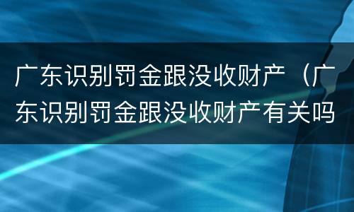 广东识别罚金跟没收财产（广东识别罚金跟没收财产有关吗）