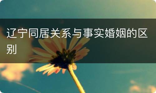 辽宁同居关系与事实婚姻的区别