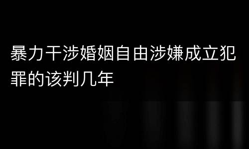 暴力干涉婚姻自由涉嫌成立犯罪的该判几年