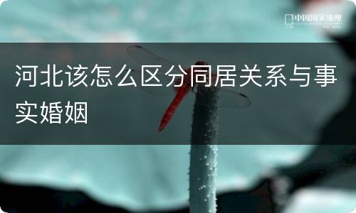 河北该怎么区分同居关系与事实婚姻