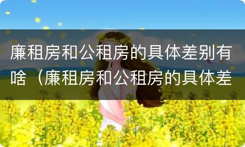 廉租房和公租房的具体差别有啥（廉租房和公租房的具体差别有啥区别呢）