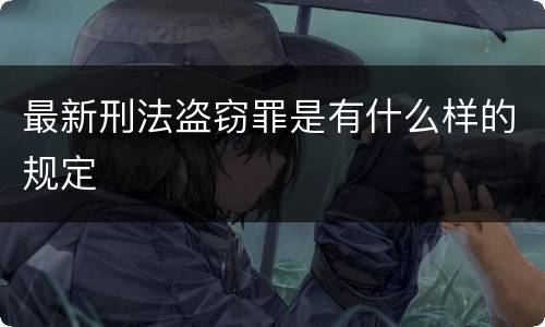 最新刑法盗窃罪是有什么样的规定