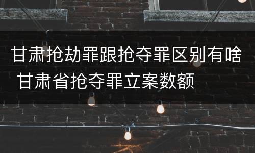 甘肃抢劫罪跟抢夺罪区别有啥 甘肃省抢夺罪立案数额
